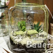 Mini Gardening in Glas
